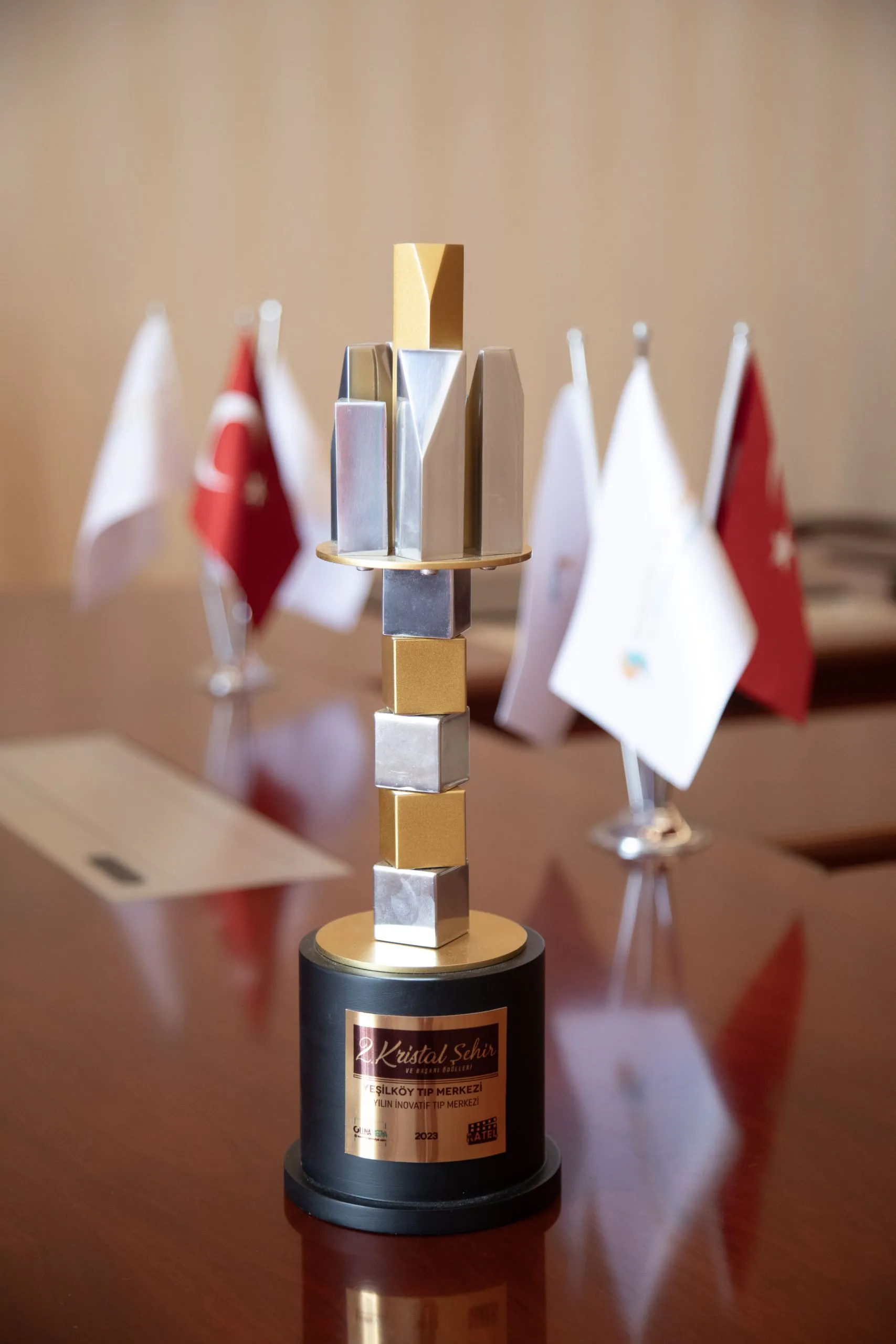 Sağlık Hizmetlerinde Mükemmeliyet